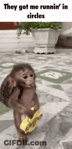 Monkey With Backpack Running In Circles GIF