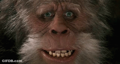 Monkey With Beard And Teeth GIF