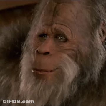 Monkey With Beard Looking At Camera GIF