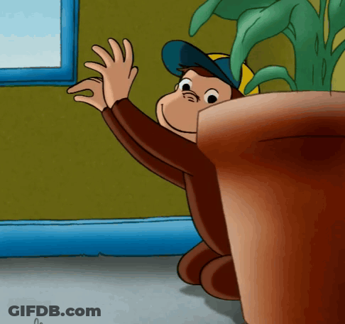 Monkey With Blue Hat GIF
