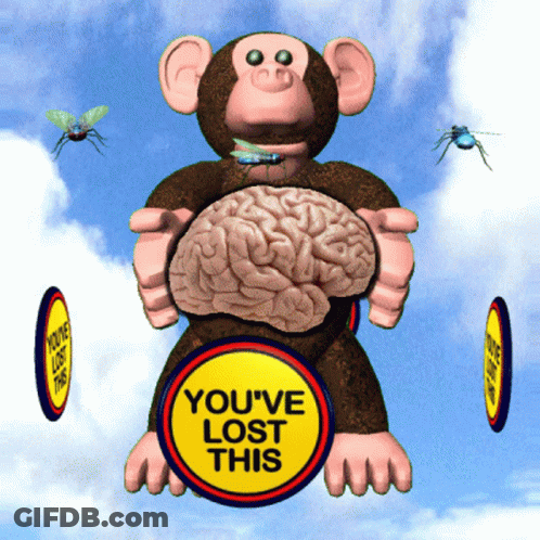 Monkey With Brain Yellow Sign You've Lost This GIF