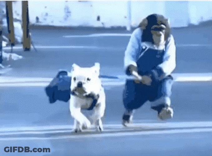 Monkey With Dog Running GIF
