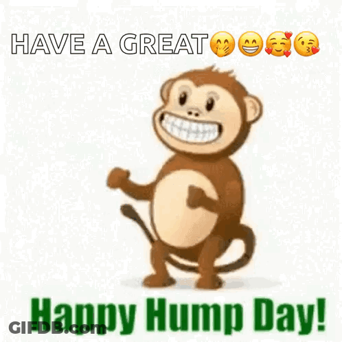 Monkey With Emojis Have A Great Happy Hump Day GIF