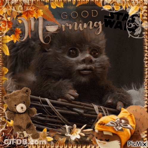 Monkey With Good Morning Star Wars GIF