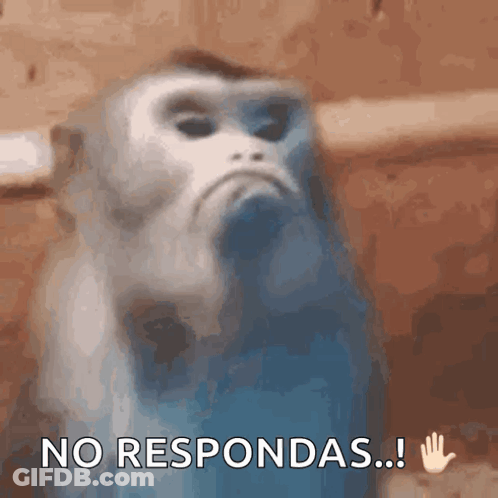 Monkey With Hand Up Saying No Respondas GIF