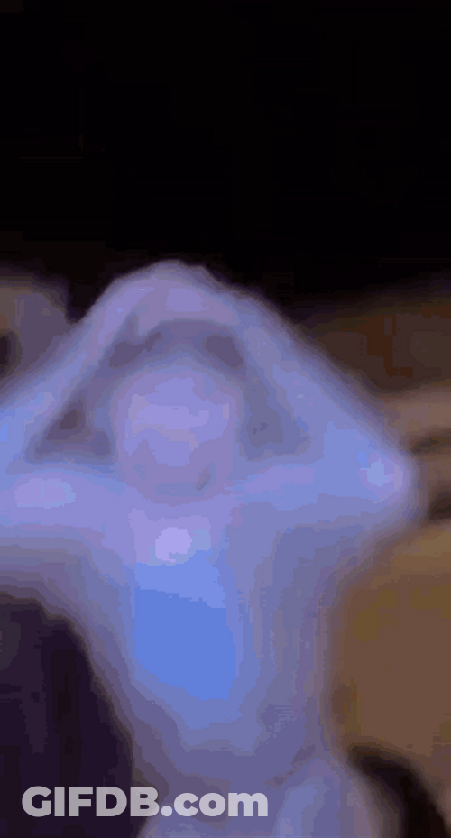Monkey With Hands On Head Sad Meme GIF