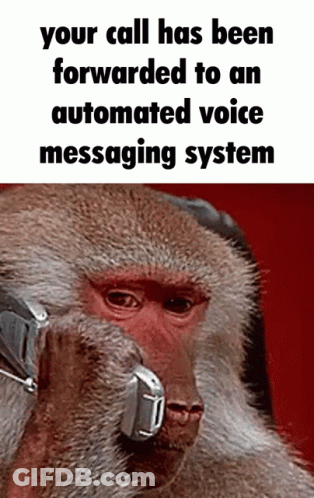 Monkey With Headset Saying Your Call Has Been Forwarded To An Automated Voice Messaging GIF