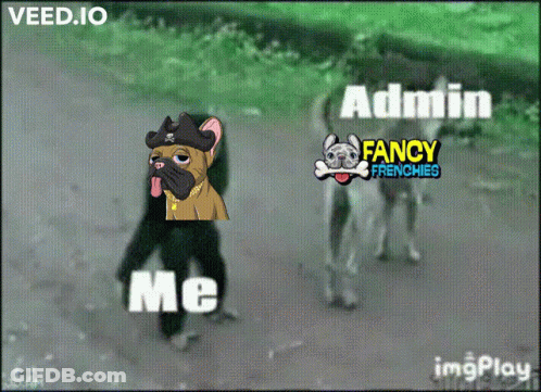 Monkey With Pirate Hat And Fancy Frenchies GIF