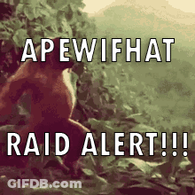 Monkey With Raid Alert Words GIF