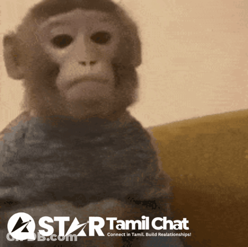 Monkey With Star Tamil Chat Text GIF