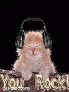 Monkey With Stars In Eyes Saying Chimpers GIF
