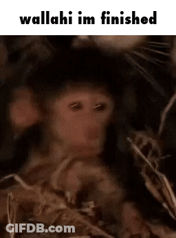 Monkey With Wallahi Im Finished GIF