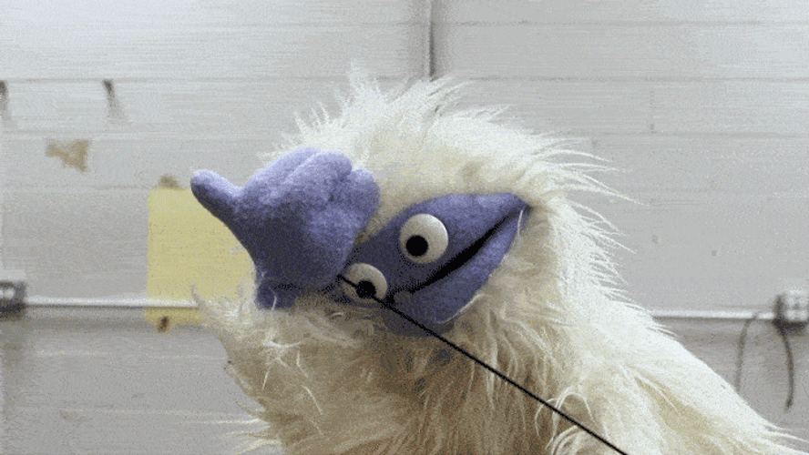 Monkey Yetee Stunned Reaction Meme GIF