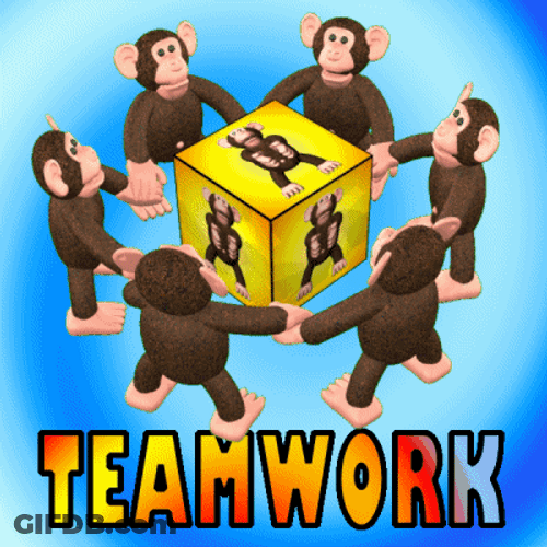 Monkeys Forming A Circle Collaboration GIF