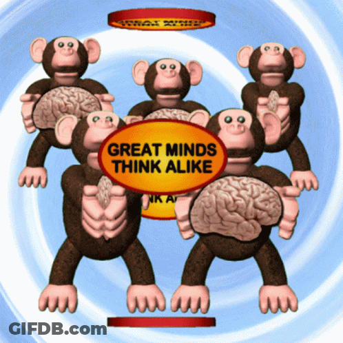 Monkeys Holding Brains Great Minds Think Alike GIF