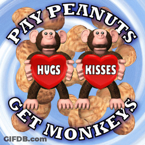 Monkeys Kiss And Hug Graphic Art GIF