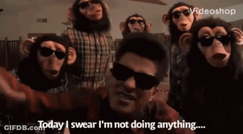 Monkeys Standing Around Sunglasses Man In Plaid Shirt GIF