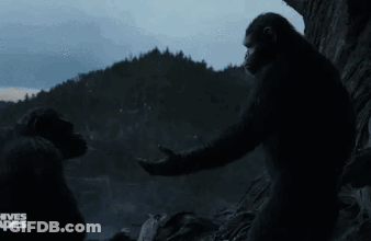 Monkeys Standing With Planet Of The Apes Text GIF