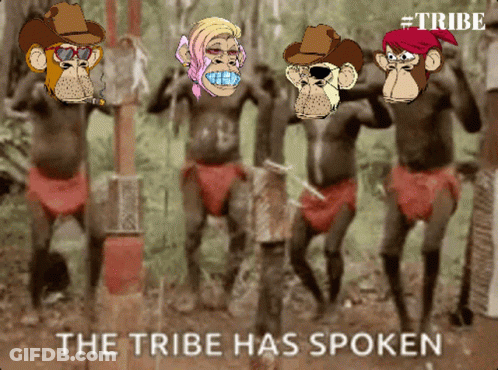 Monkeys The Tribe Has Spoken GIF