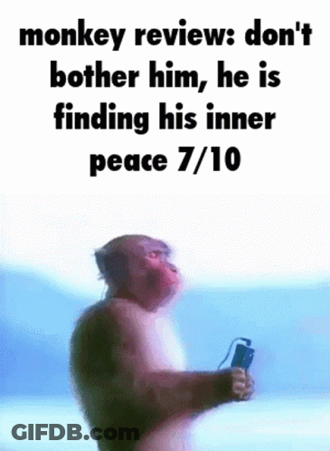 Monkie Review Too Silly GIF