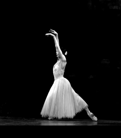 Monochromatic Ballet Cambre Back GIF