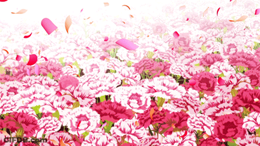 Monogatari Field Of Flowers GIF