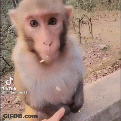 Monster Bloody Mouth Malphas Did Not Like That GIF