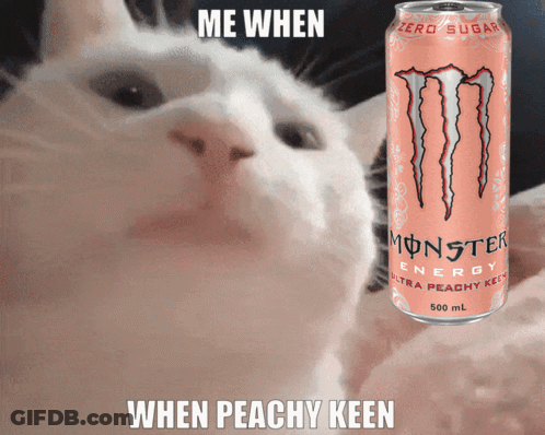 Monster Energy Can Next To Cat GIF