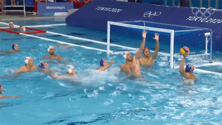 Montenegro Water Polo GIF