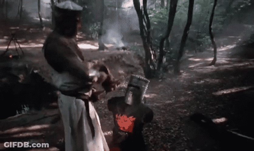 Monty Python Black Knight Draw Fight GIF