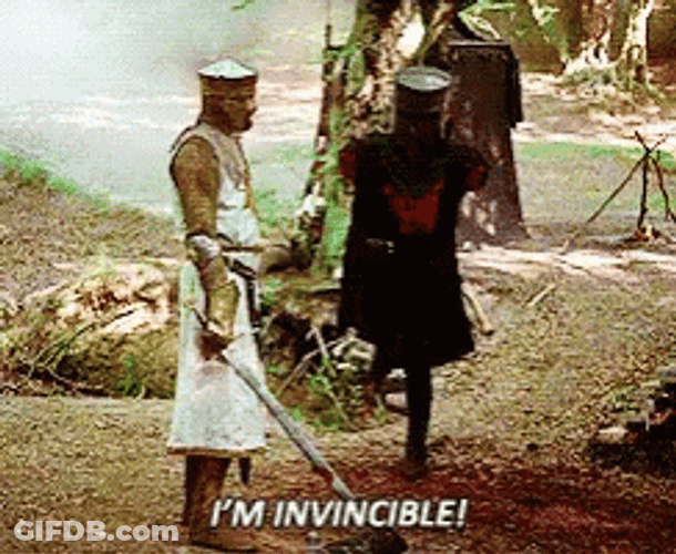Monty Python Black Knight Invincible GIF