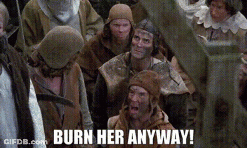 Monty Python Burn Her Anyway Run Away GIF