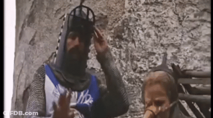 Monty Python Public Execution GIF
