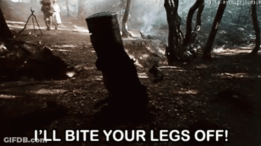 Monty Python Run Away I'll Bite You GIF