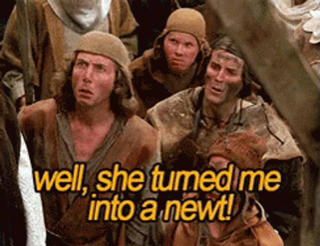 Monty Python Run Away Turned Into Newt GIF