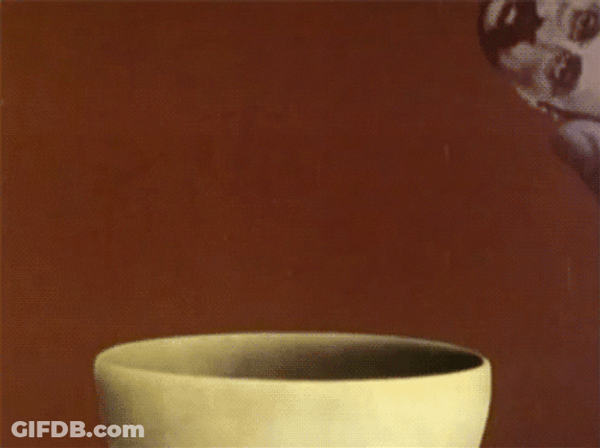 Monty Python Terry Gillian Cracking Egghead GIF