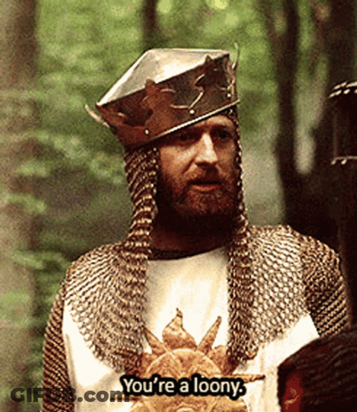 Monty Python You're A Run Away Loony GIF