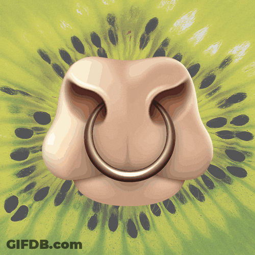 Moo Cartoon Moving Nose GIF