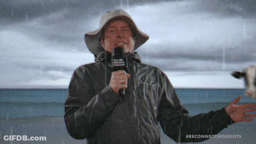 Moo Flying On The Winds GIF