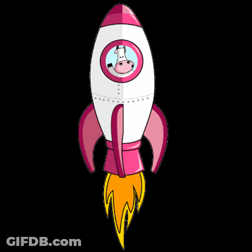 Moo On A Pink Rocket GIF