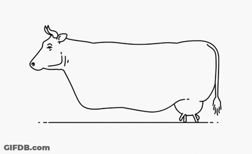 Moo Walking Boobie GIF