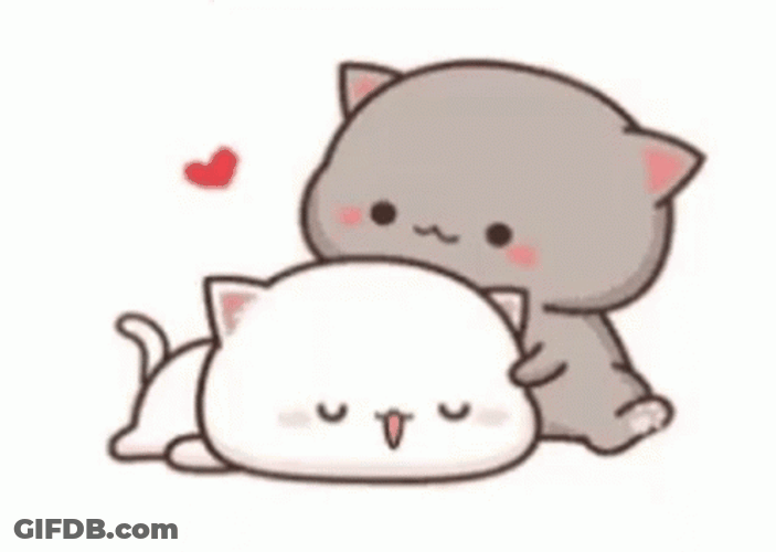 Moochi Peach Cute Cats GIF