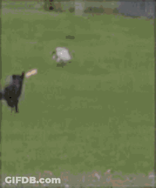 Mood War GIF