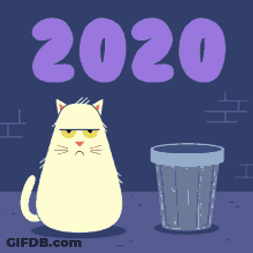 Moody Animated Cat Good Bye 2020 Happy 2021 GIF