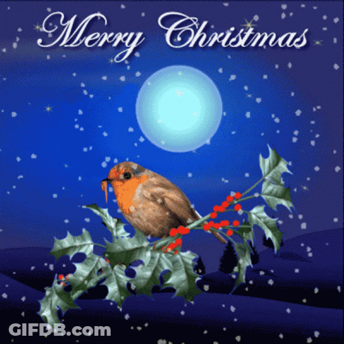 Moon Christmas In July GIF