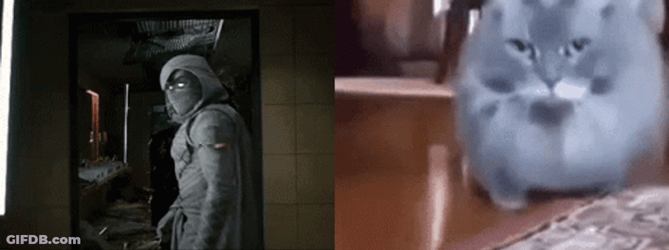 Moon Knight Cat Walking Comparison GIF