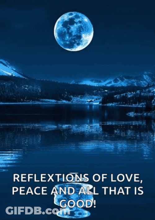 Moonlight Full Moon GIF