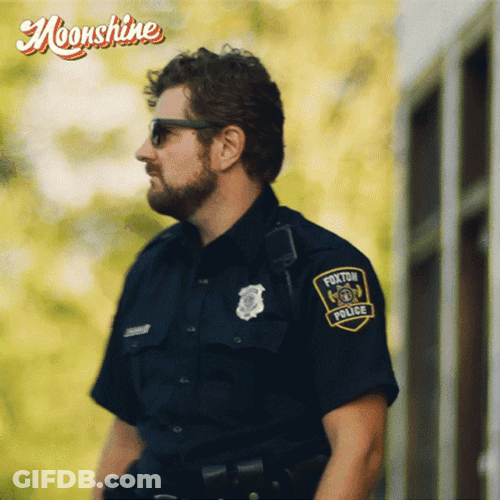 Moonshine Cop Guarding GIF