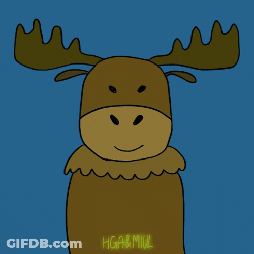 Moose GIF