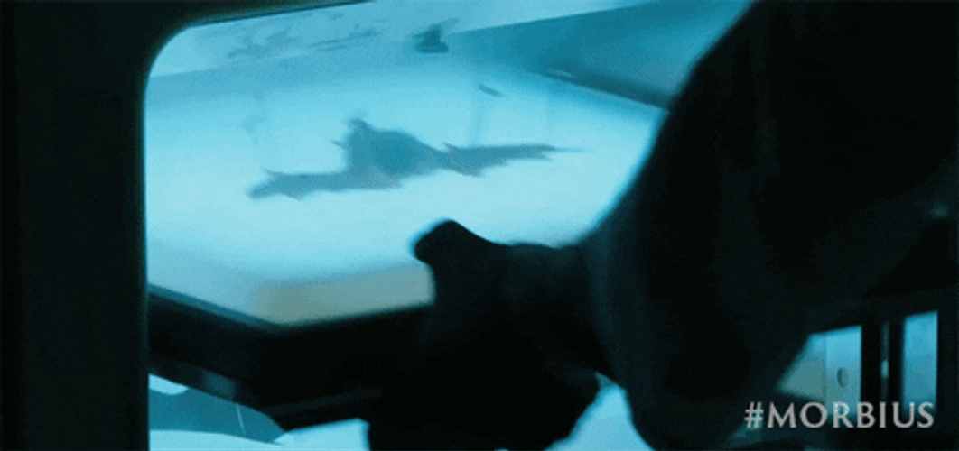 Morbius Bat Experiment GIF
